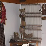 Guest house Guest Profirov Zlatograd