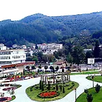 Guest Profirov *