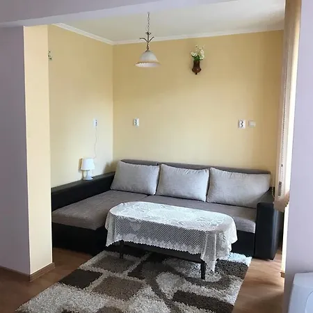Guest Profirov
