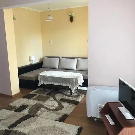 Guest Profirov