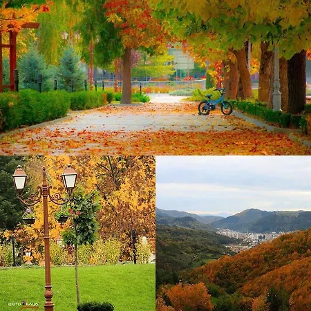 Guest Profirov Zlatograd