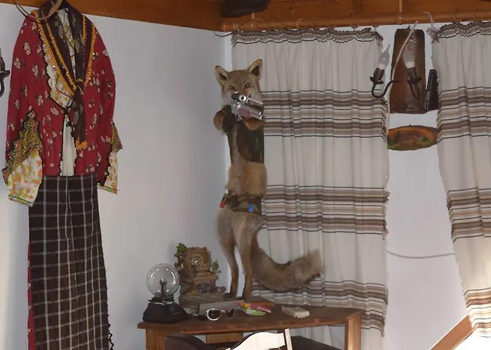 Guest house Guest Profirov Zlatograd